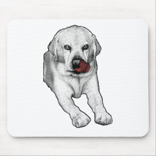Bright desk, red-touched Lab Mouse Pad
