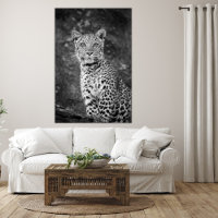 Bright-Eyed Young Leopard