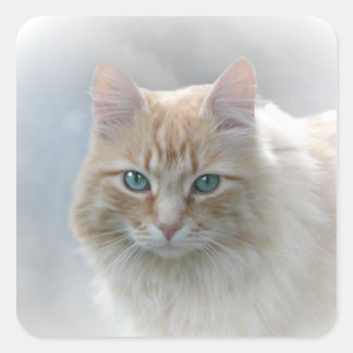 Bright Eyes AH2010 Square Sticker