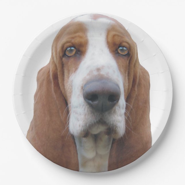 Bright Eyes Basset Hound Paper Plate (Front)