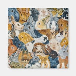 Bright Eyes Magnet