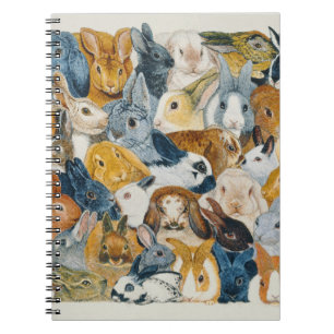 Bright Eyes Notebook