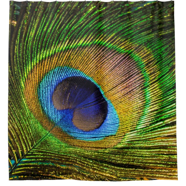 Bright Feather (Front)