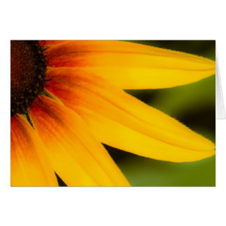 Bright Flower