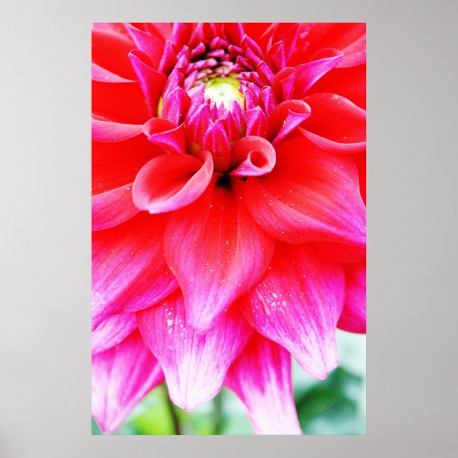 Bright Flower Poster (Front)