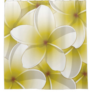 Bright Frangipani/ Plumeria flowers