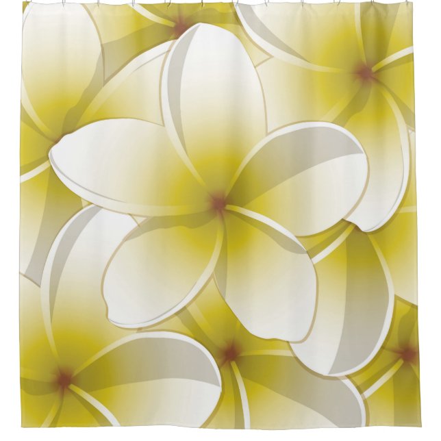 Bright Frangipani/ Plumeria flowers (Front)