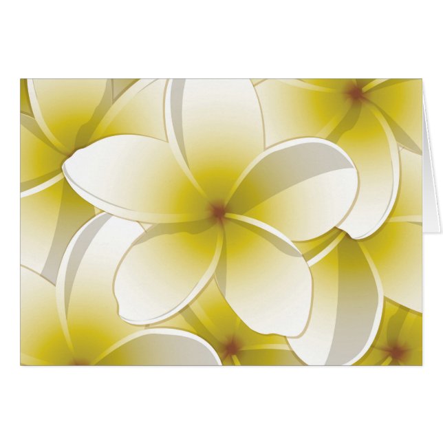 Bright Frangipani/ Plumeria flowers (Front Horizontal)