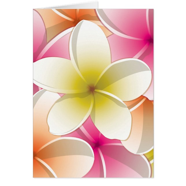 Bright Frangipani/ Plumeria flowers (Front)