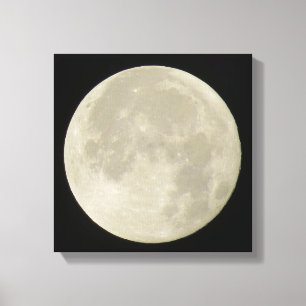 Bright full moon on canvas photo print