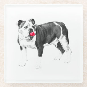 Bright Gatherings, Playful Coaster