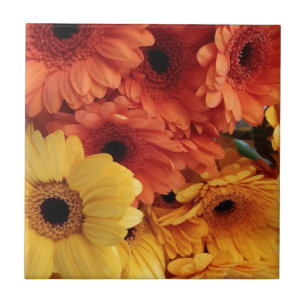 Bright Gerbera Flowers, Orange Yellow, Flora Tile
