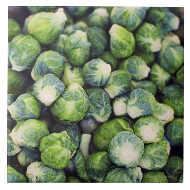 Bright Green Fresh Brussels Sprouts Tile (Front)