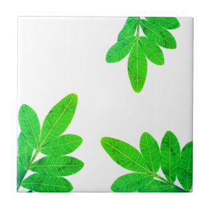 Bright Green Mango Tree Leaves Tile