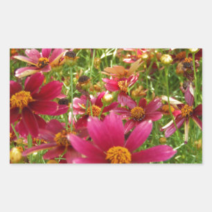 Bright Hot Pink and Yellow Daisy flowers Sticker