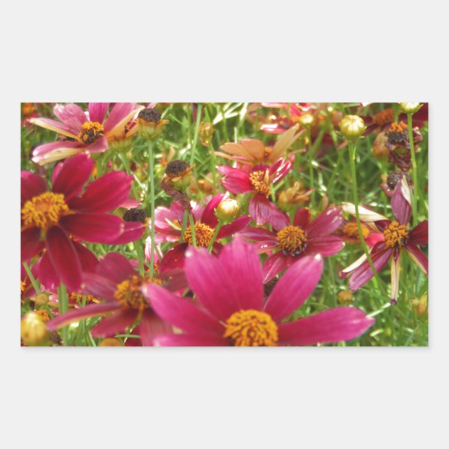 Bright Hot Pink and Yellow Daisy flowers Sticker (Front)