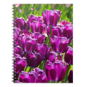 Bright lilac tulips on a sunny day      notebook