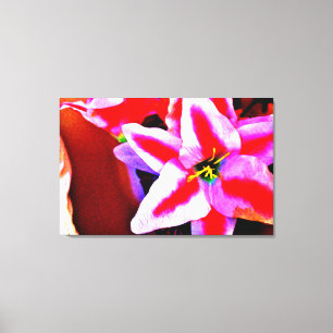 Bright Lily Canvas Print