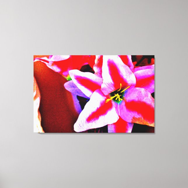 Bright Lily Canvas Print (Front)