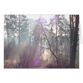 Bright morning sunlight through Mist Blank Card