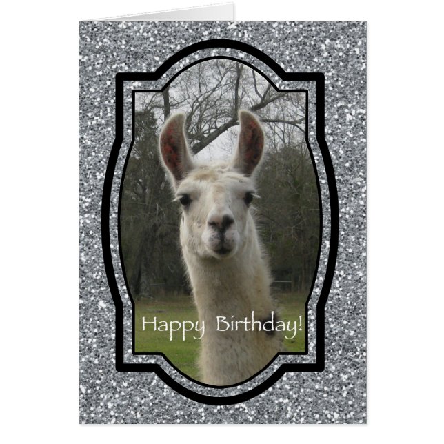 Bright N Sparkling Llama in Silver (Front)
