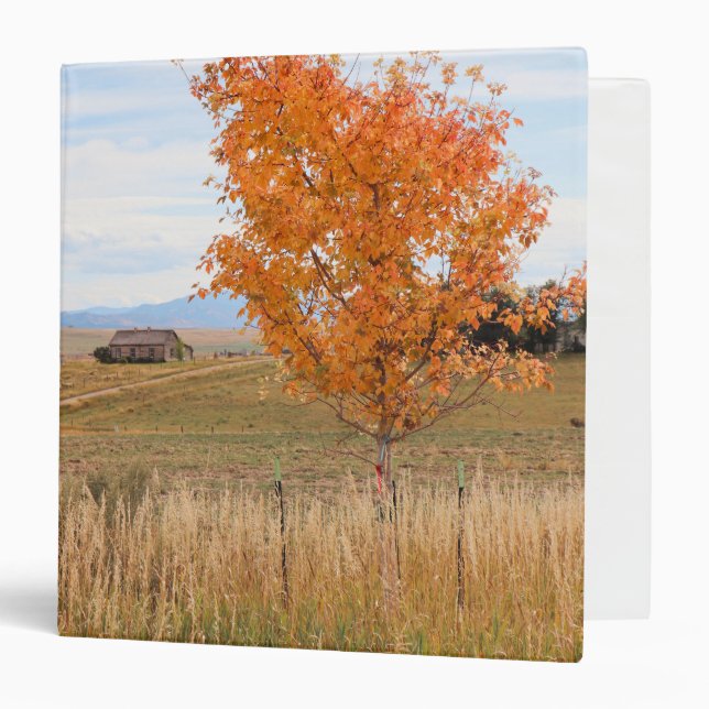 Bright October  Binder (Front/Inside)