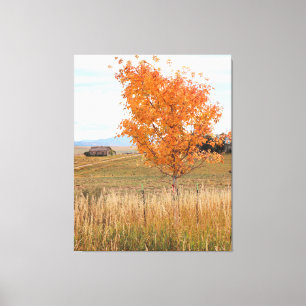 Bright October  Canvas Print