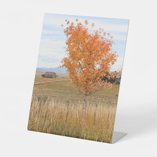 Bright October  Pedestal Sign (Front)