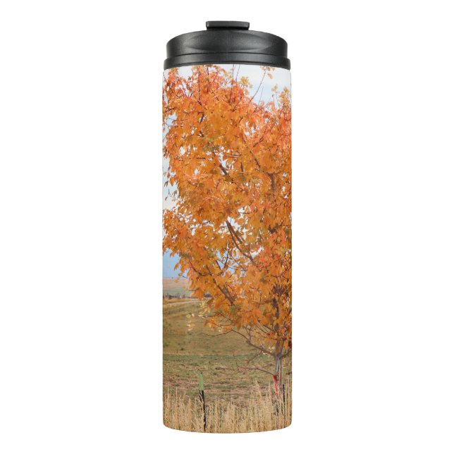 Bright October  Thermal Tumbler (Front)