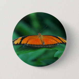 Bright Orange and Black Butterfly on Leaf 2 Inch Round Button