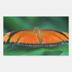 Bright Orange and Black Butterfly on Leaf Sticker
