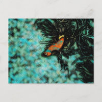 Bright Orange and Blue Beta Fish