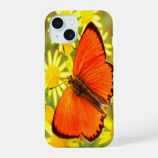 Bright Orange Butterfly Yellow Flowers iPhone 15 Case