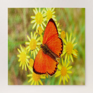 Bright Orange Butterfly Yellow Flowers Jigsaw Puzzle