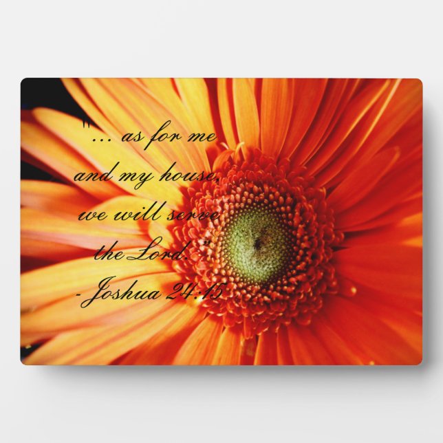 Bright Orange Daisy Plaque (Front)