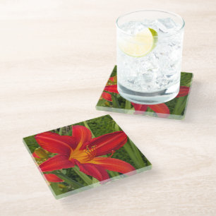 Bright Orange Daylily Bloom Floral Glass Coaster