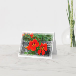 Bright orange flowers card