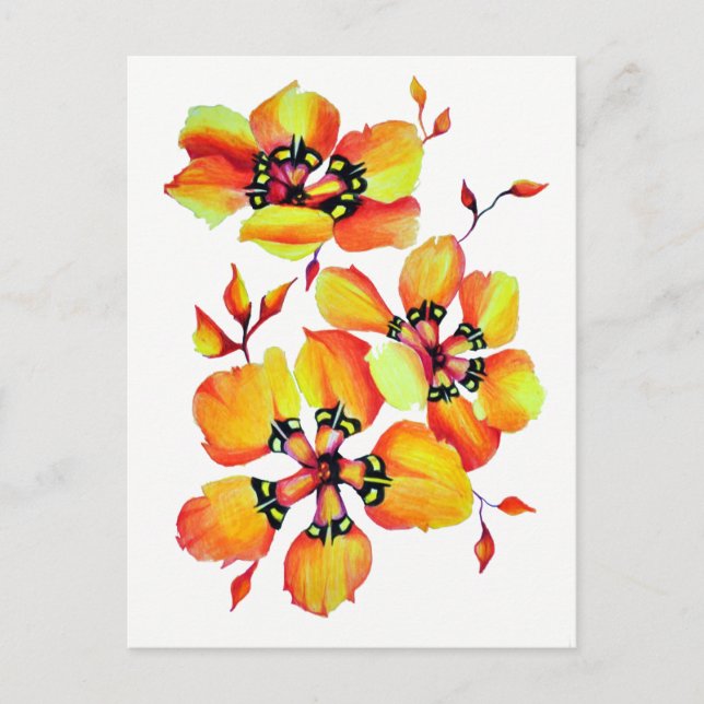 Bright Orange Flowers Postcard (Front)