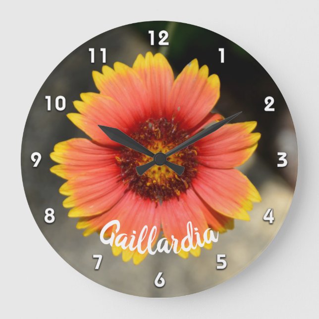 Bright Orange Gaillardia Sunflower acrylic Large Clock (Front)