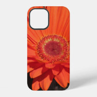 Bright Orange Gerbera Daisy Flower Photo