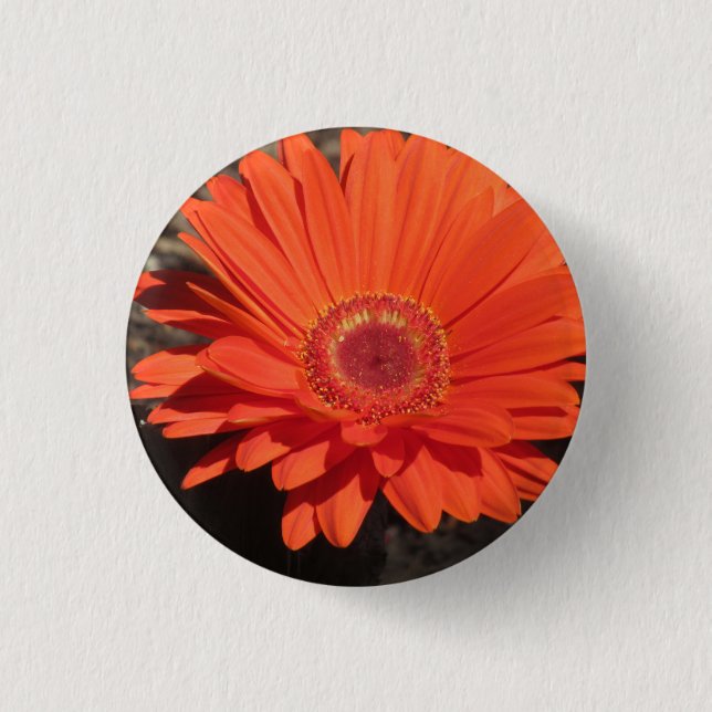 Bright Orange Gerbera Daisy Photo  1 Inch Round Button (Front)