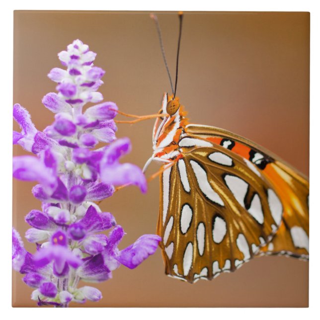 Bright Orange Gulf Fritillary Butterfly Tile (Front)