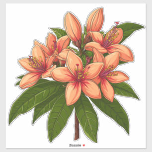 Bright Orange Hibiscus Bouquet