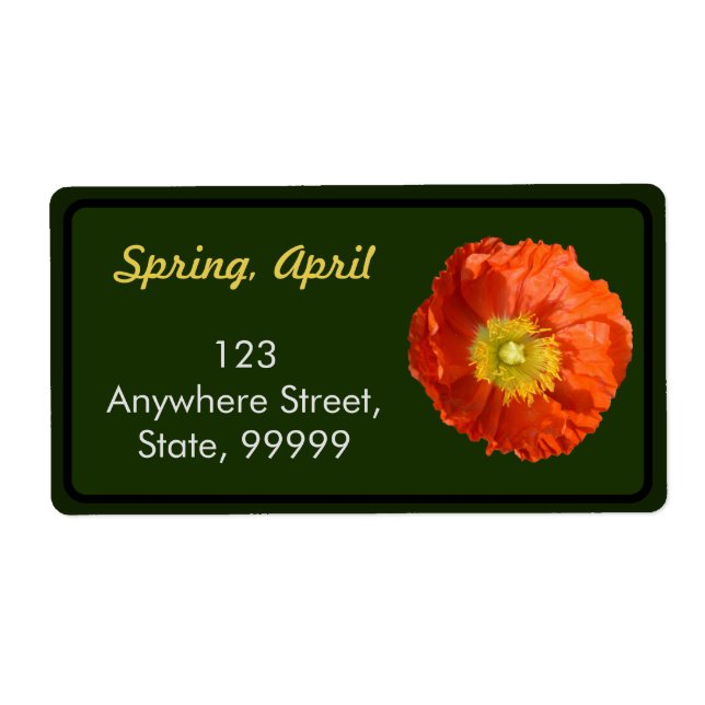 Bright Orange Poppy Flower (Front)