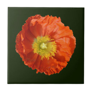 Bright Orange Poppy Flower Tile