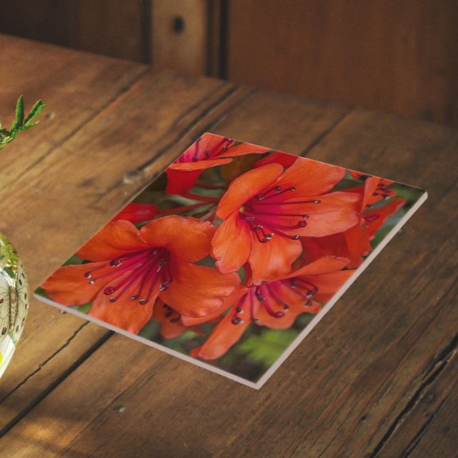 Bright Orange Rhododendron Blooms Floral Tile (In Situ)