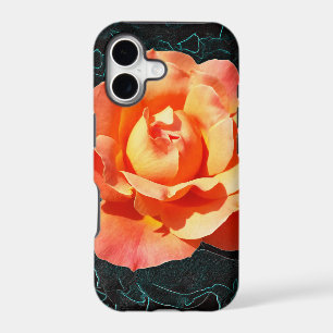 Bright orange rose