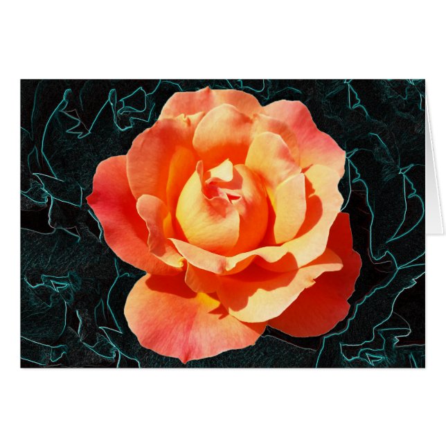 Bright orange rose (Front Horizontal)