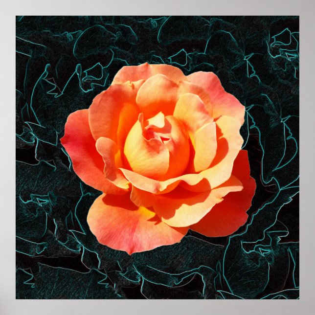 Bright orange rose poster (Front)