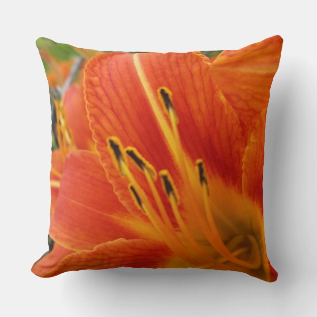 bright orange throw pillow (Front)